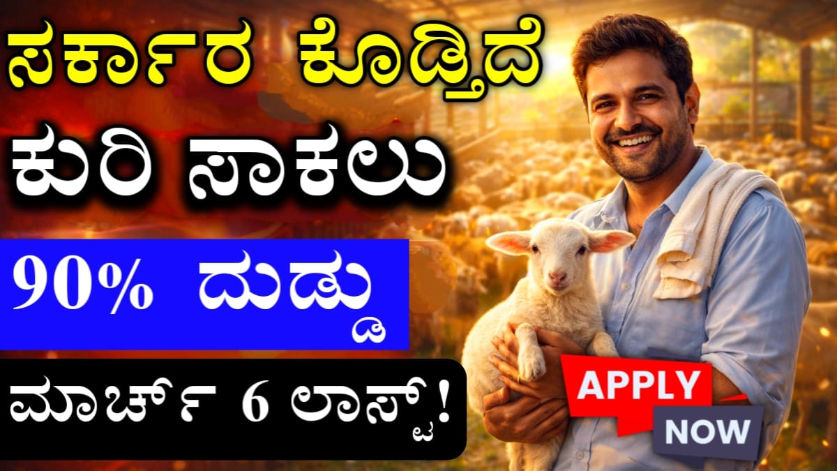 ಕುರಿ ಸಾಕಾಣಿಕೆ ಸಬ್ಸಿಡಿ